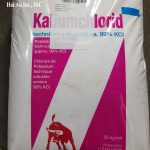 Kali Clorua | Potassium Chloride | Bán KCl | KCl Israel | KCl Đức
